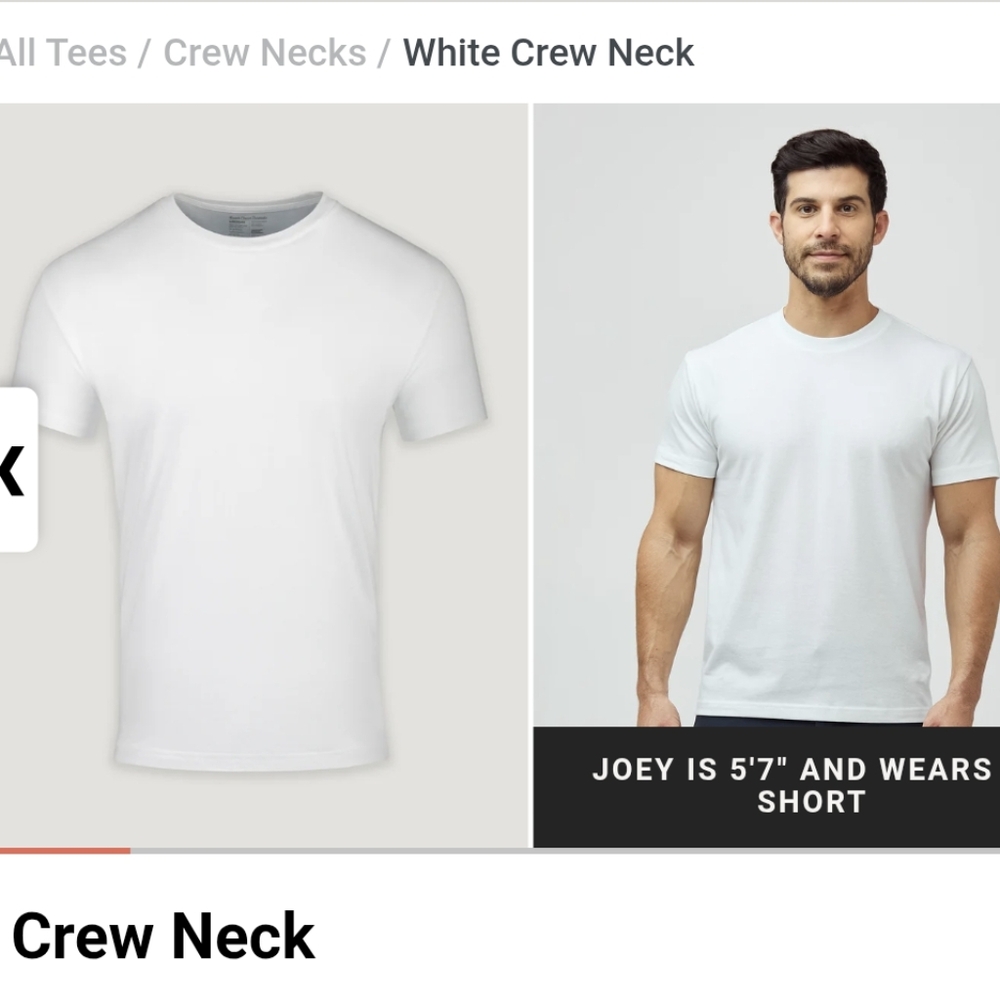 Fresh Clean Tees Crew Neck- M